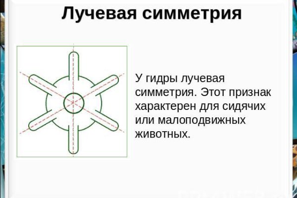 Кракен даркнет текст